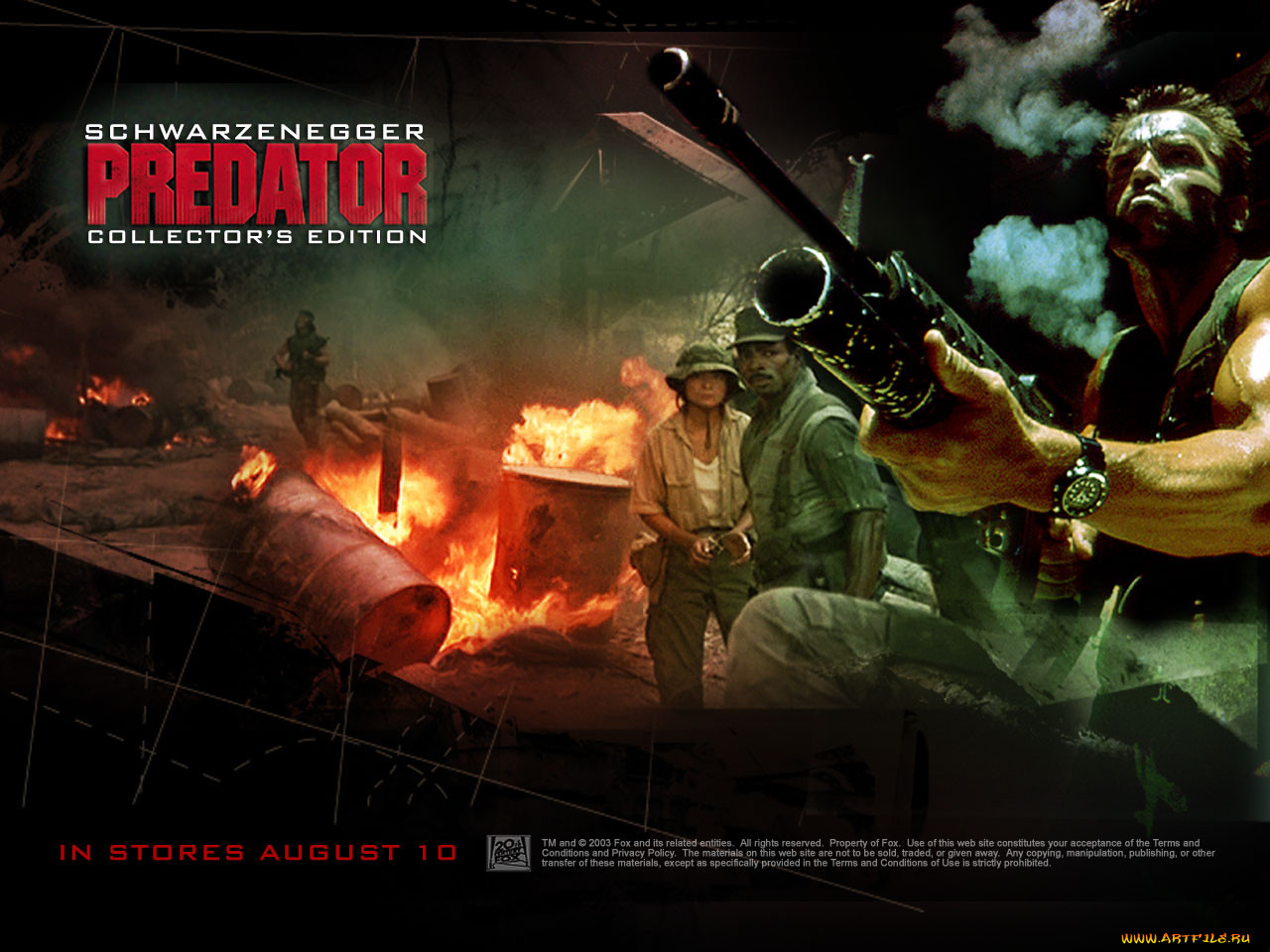 , , predator